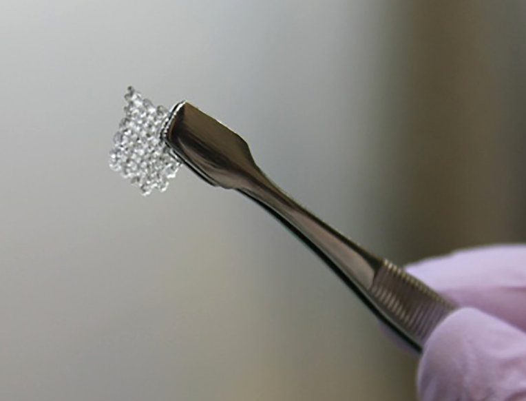 Scientists One Step Closer to 3-D-Printed Ovaries to Treat Infertility