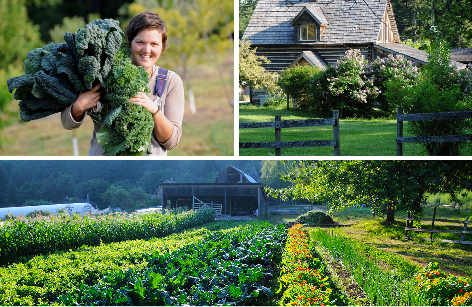 Eating Your Way Through Your Next Holiday: A New Crop of Cooking Schools