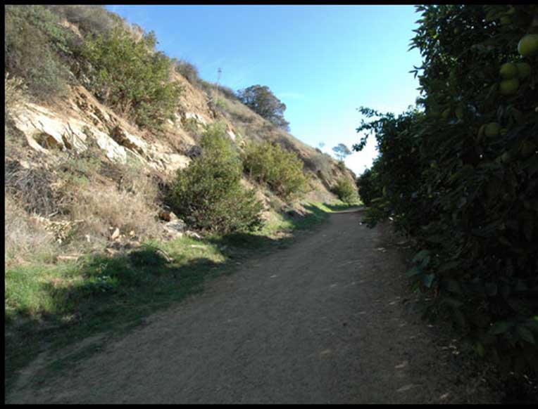 Shelf Road Trail Goop