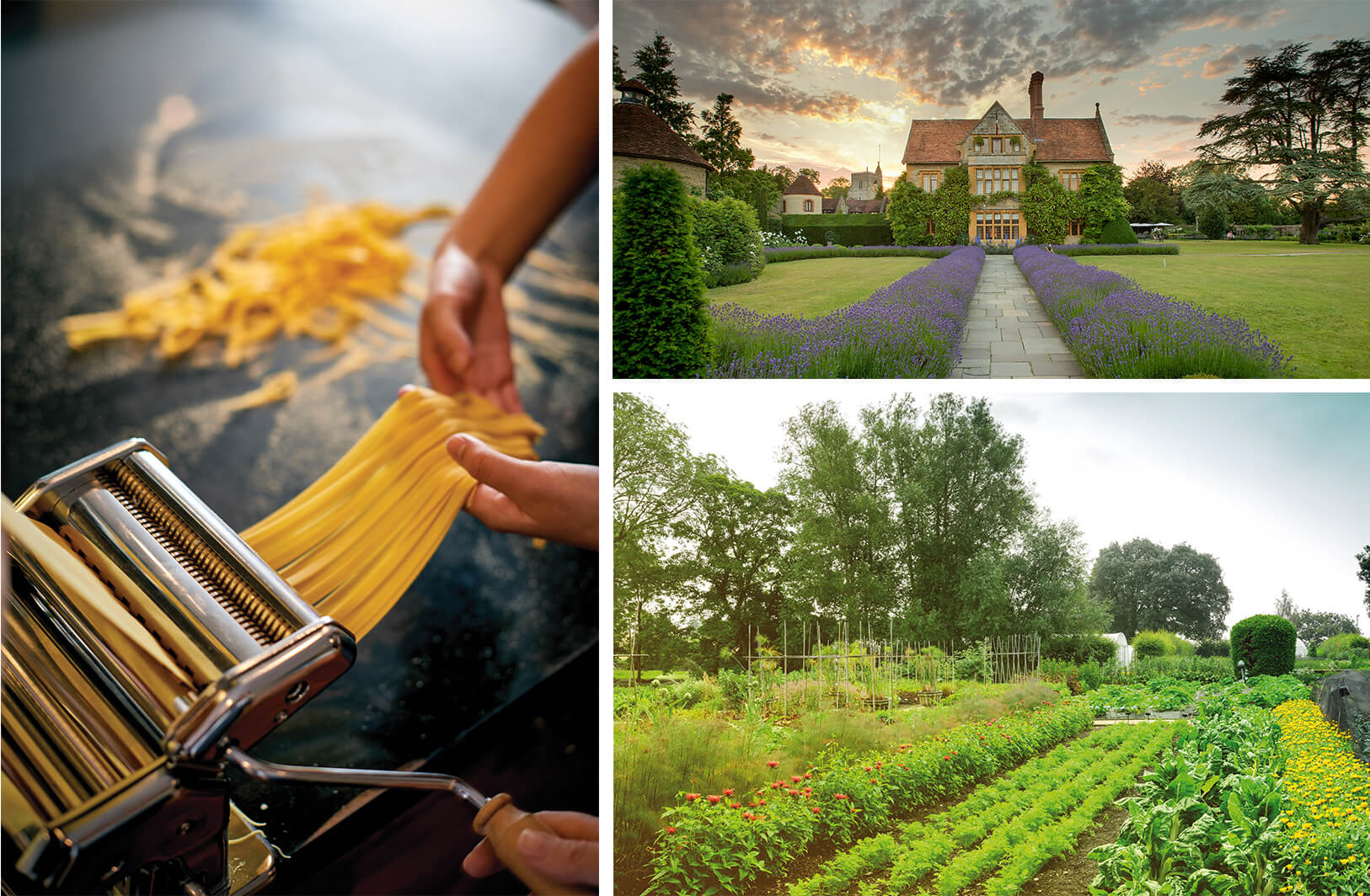 Eating Your Way Through Your Next Holiday: A New Crop of Cooking Schools