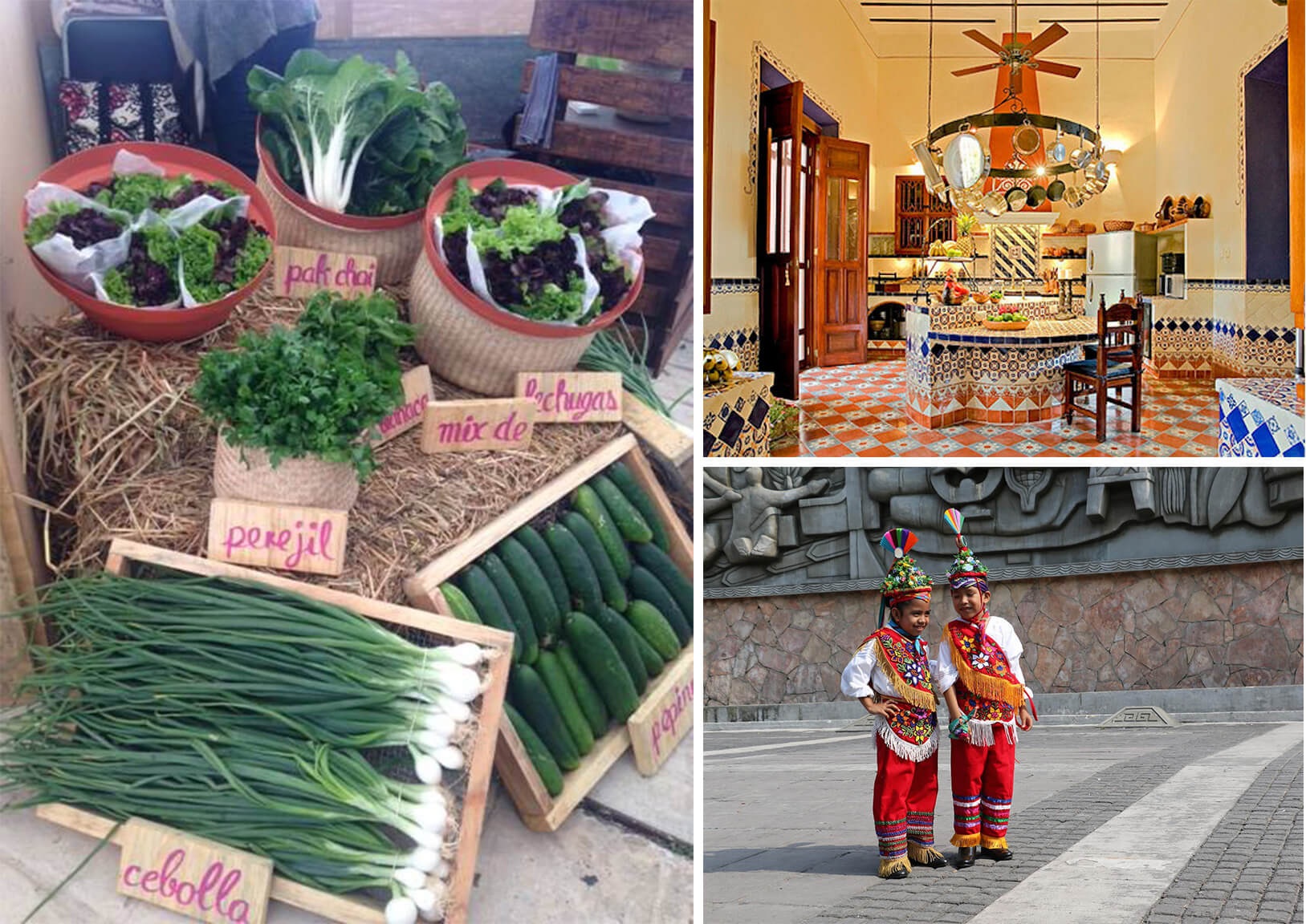 Eating Your Way Through Your Next Holiday: A New Crop of Cooking Schools