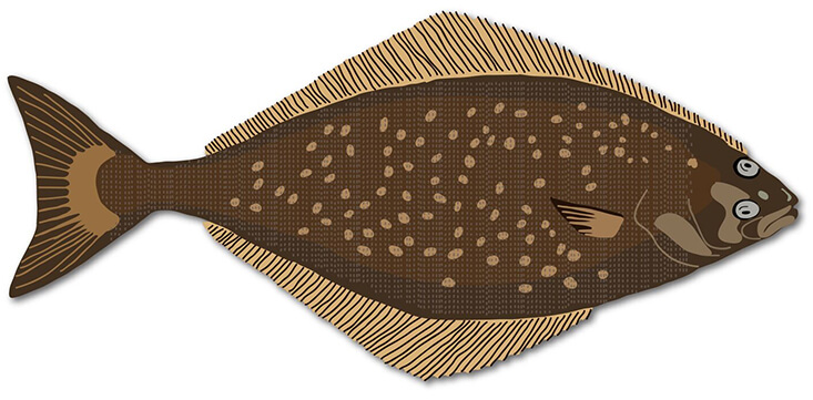 The Seafood Buying Guide