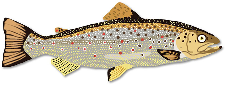 The Seafood Buying Guide