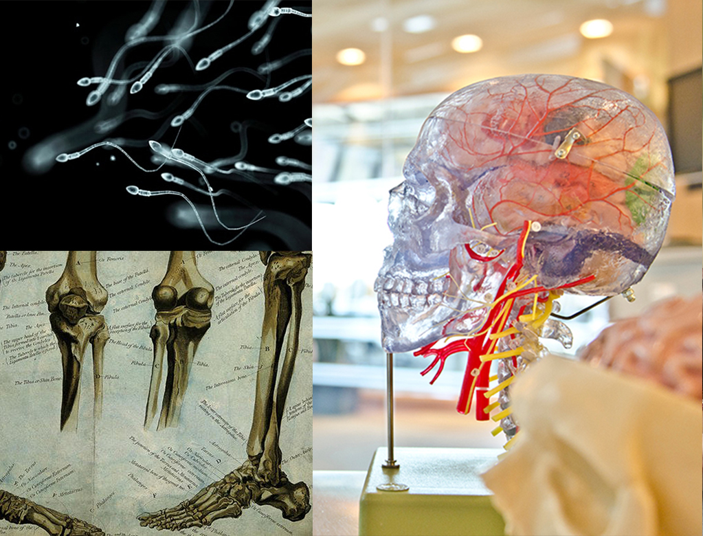Exercises Your Bones Will Thank You For + Other Stories