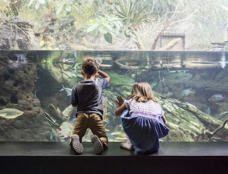 Activities to Round Out the End of Summer Break