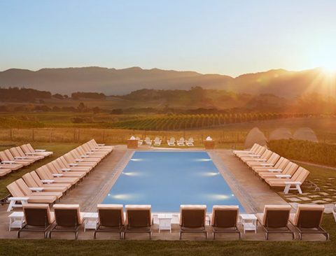 The Napa Valley Guide