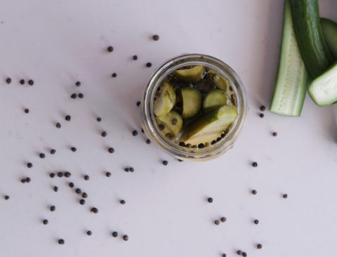 Basic Pickles