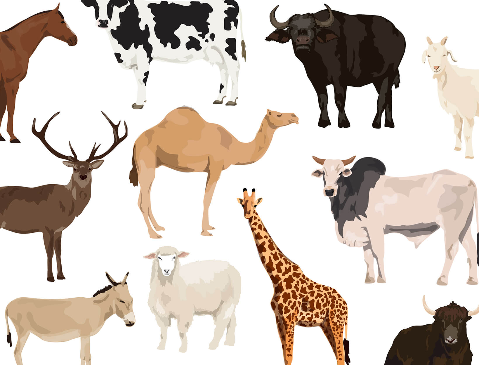 Animals with t