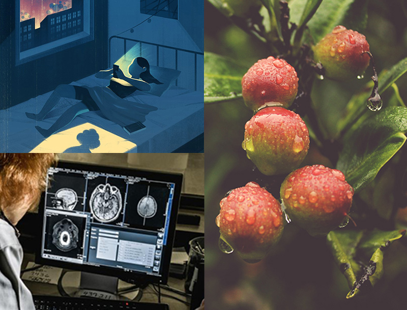 The Science of Addiction + Other Stories