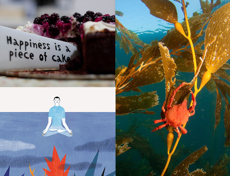 Undersea Farming + Other Stories