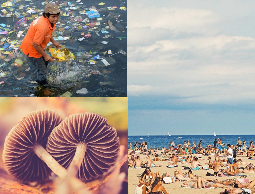 Our Plastic Pollution Epidemic + Other Stories