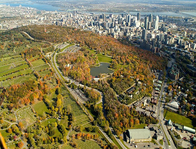 Mount Royal Park Goop