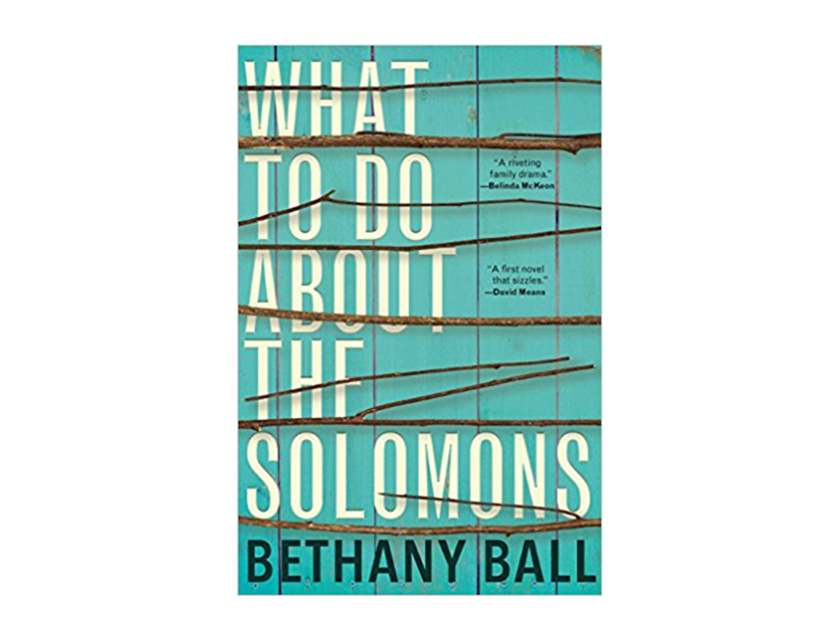What to Do About the Solomons by Bethany Ball