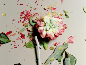 Is Your Marriage Worth Saving? | goop