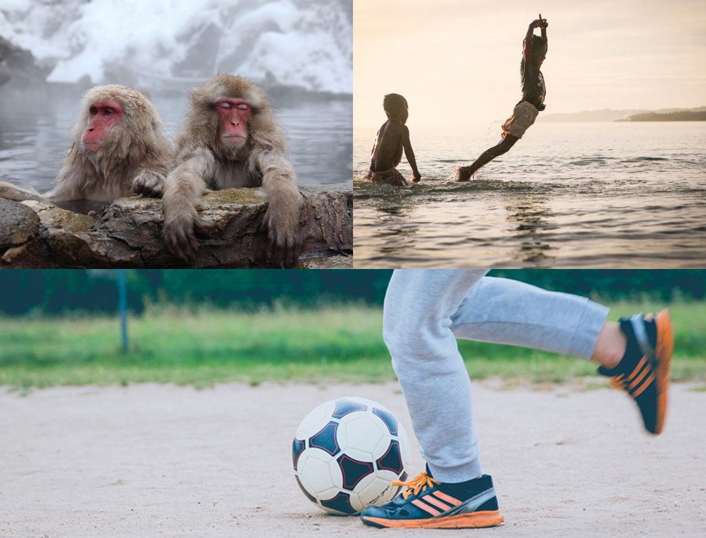 Free-Range Parenting & Other Stories