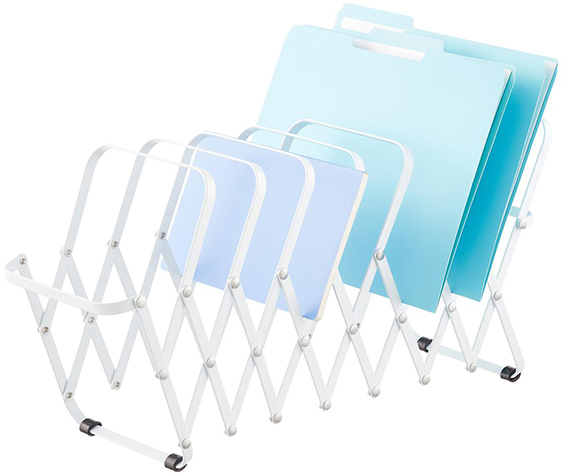 The Container Store Organizer