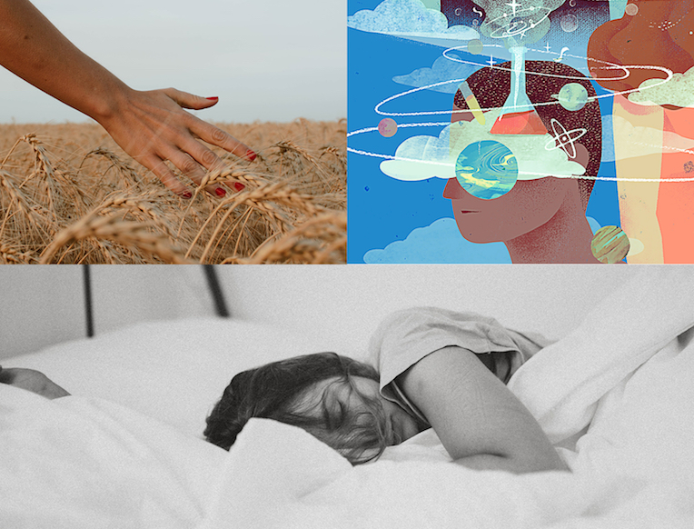 A Call for Solitude + Other Stories