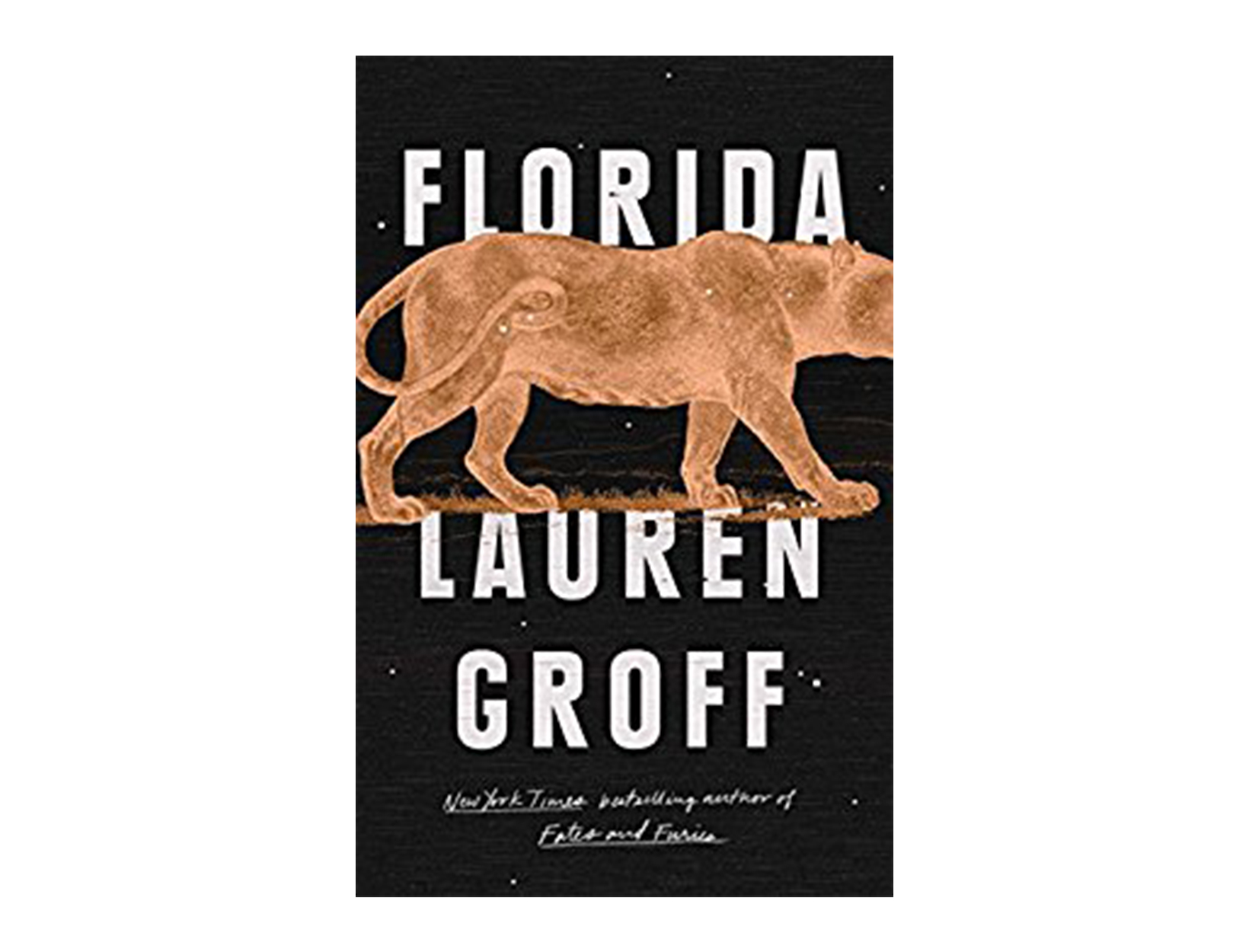 <em>Florida</em> by Lauren Groff