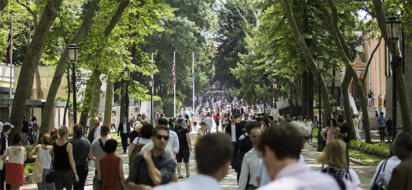 TREE-LINED WALKWAY WITH PEDESTRIANS