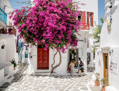The Cyclades Guide