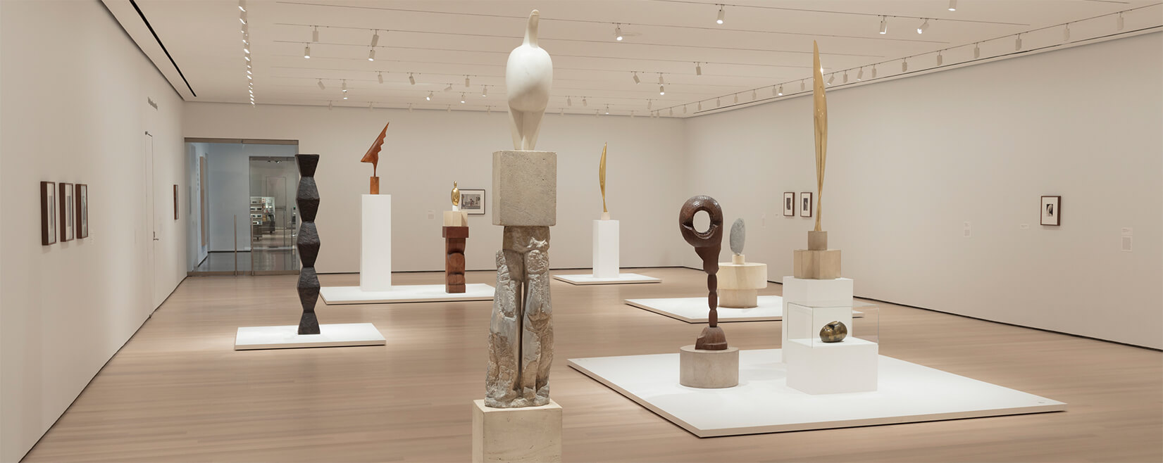 Installation view of Constantin Brancusi Sculpture