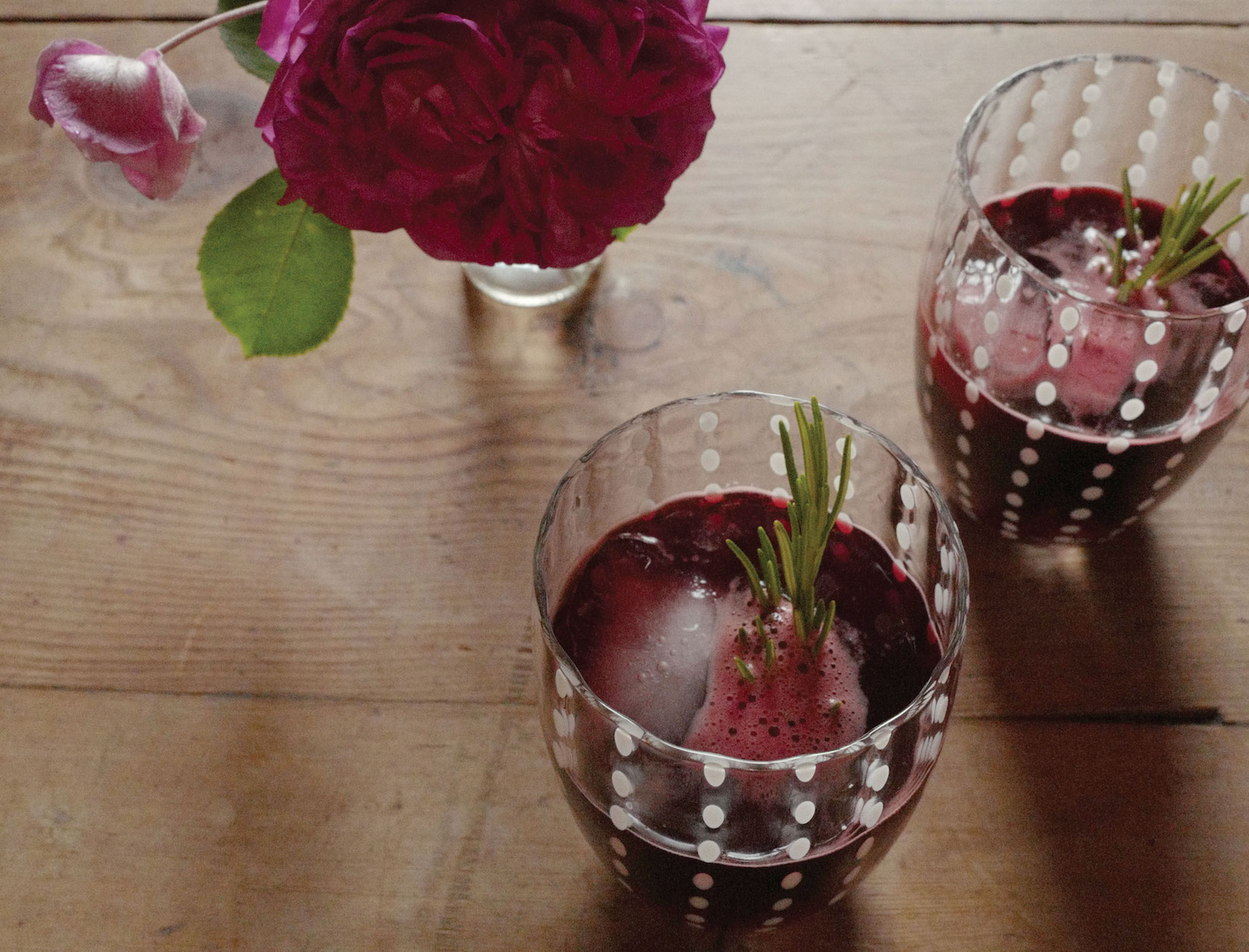 Elderberry Syrup and “Fizz”
