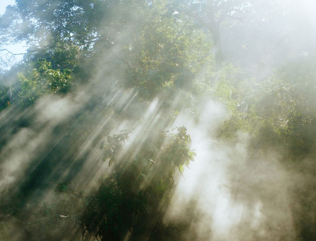 Is Science the Way to Describe Magic?