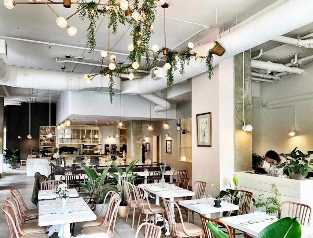 Hometown Guide: A Top Montreal Curator Takes Us on a Food and Fashion Tour