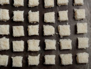 Coconut Squares
