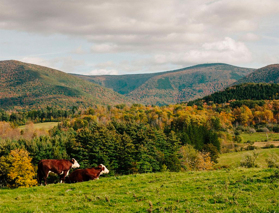 Travel Guide Berkshires, Massachusetts