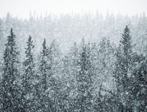 Treating Seasonal Affective Disorder (SAD) | goop