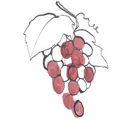 grape-seed proanthocyanidins