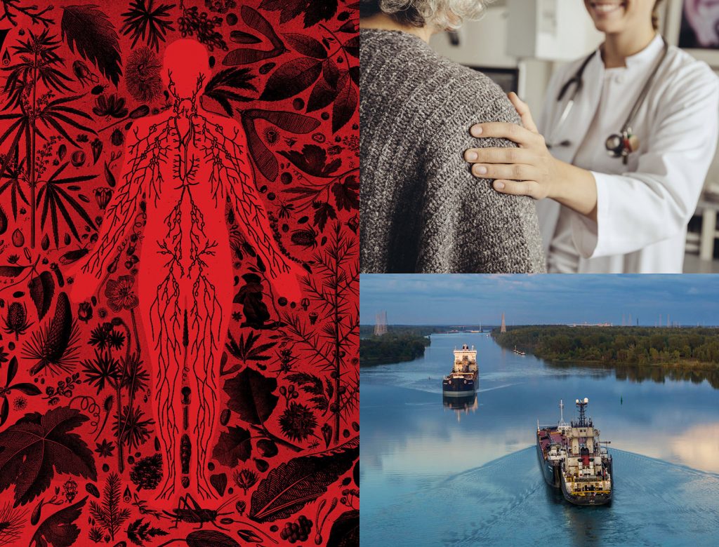 Bored Immune Systems, Cognitive Screenings + Other Stories
