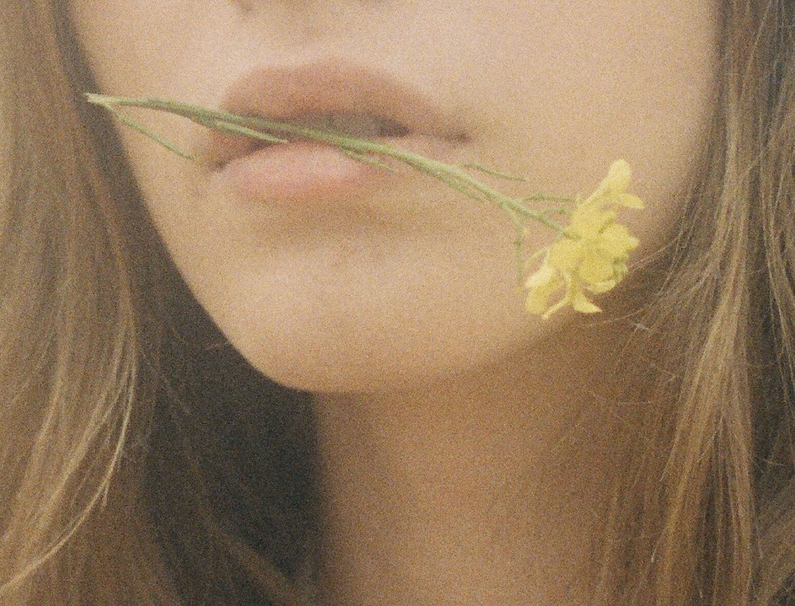 Connecting To Plant Energy - The Puakai Model - goop