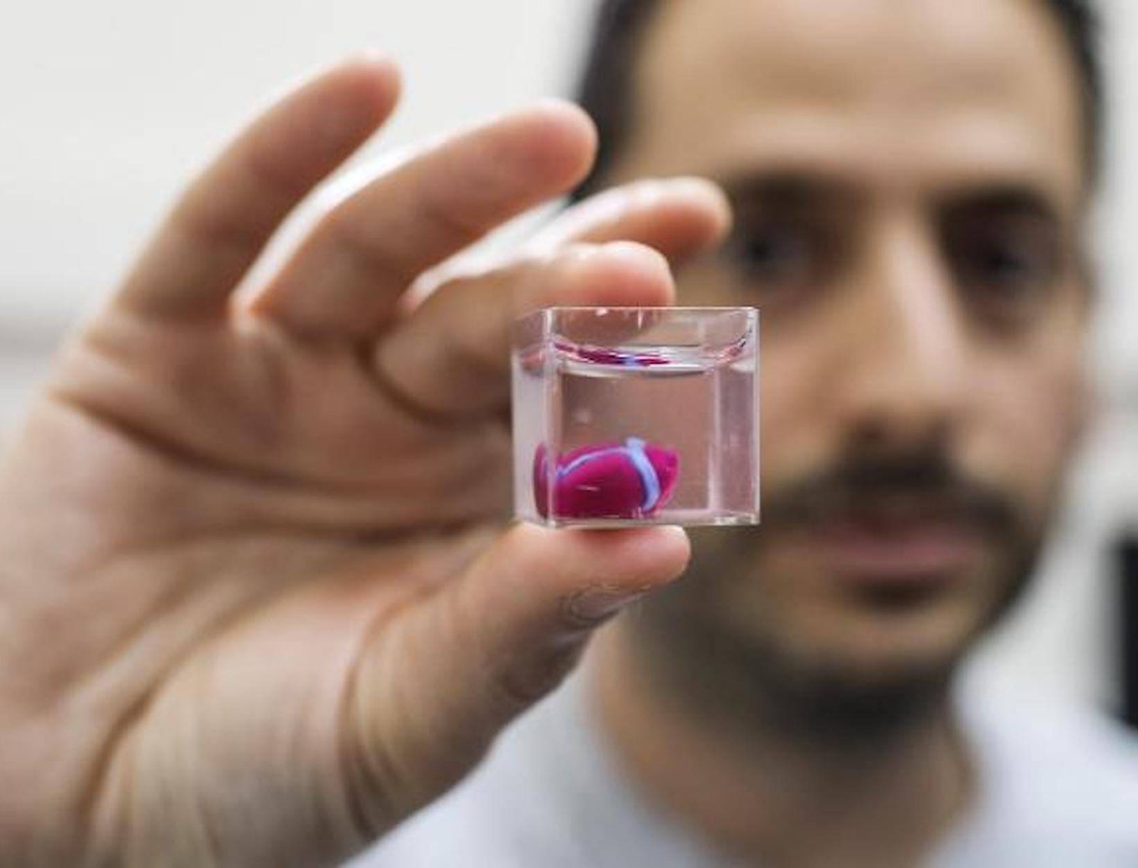 Researchers 3D-Print Heart from Human Patient’s Cells