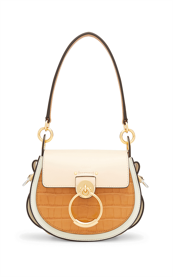 goop x Chloé small tess bag