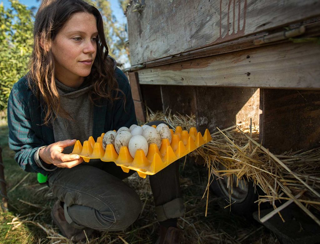 4 New Documentaries You’ll Want to Watch—Over and Over Again