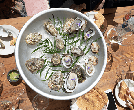 bowl of oysters