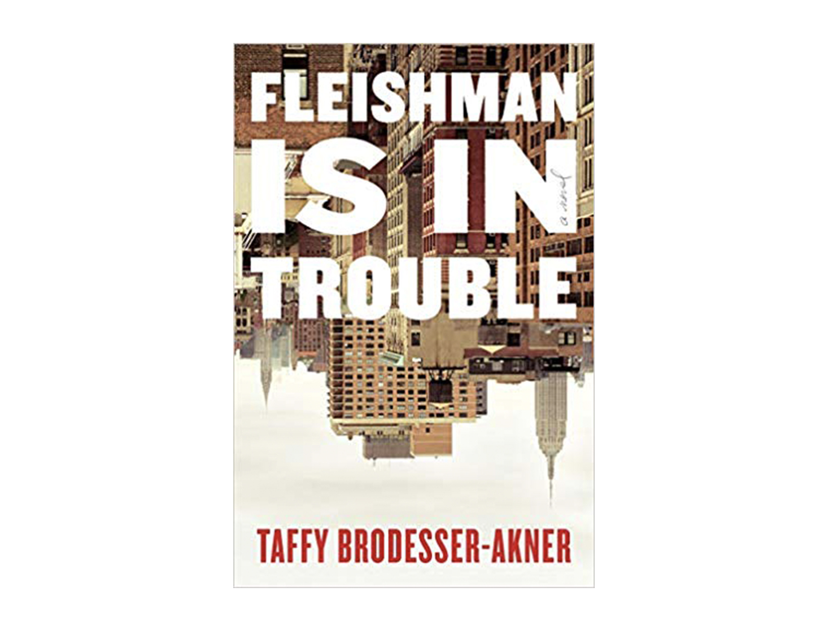<em>Fleishman Is in Trouble</em> by Taffy Brodesser-Akner