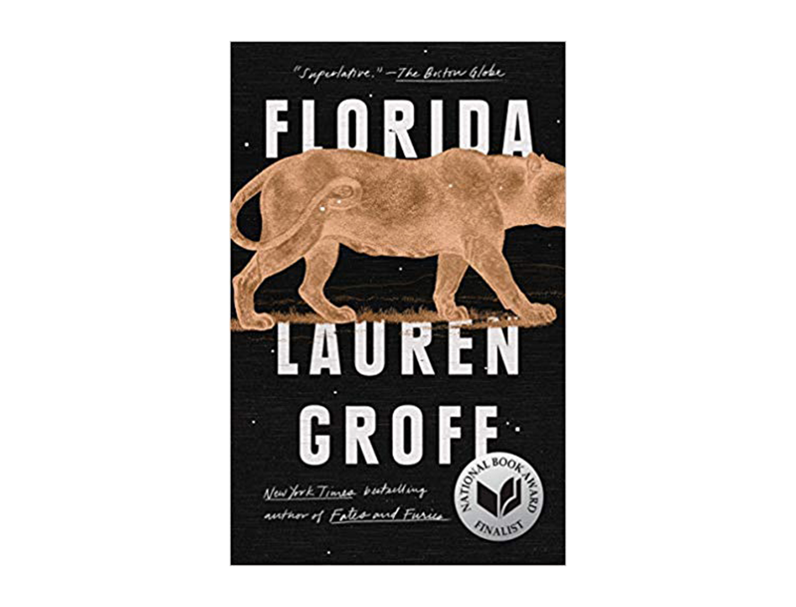 <em>Florida</em> by Lauren Groff