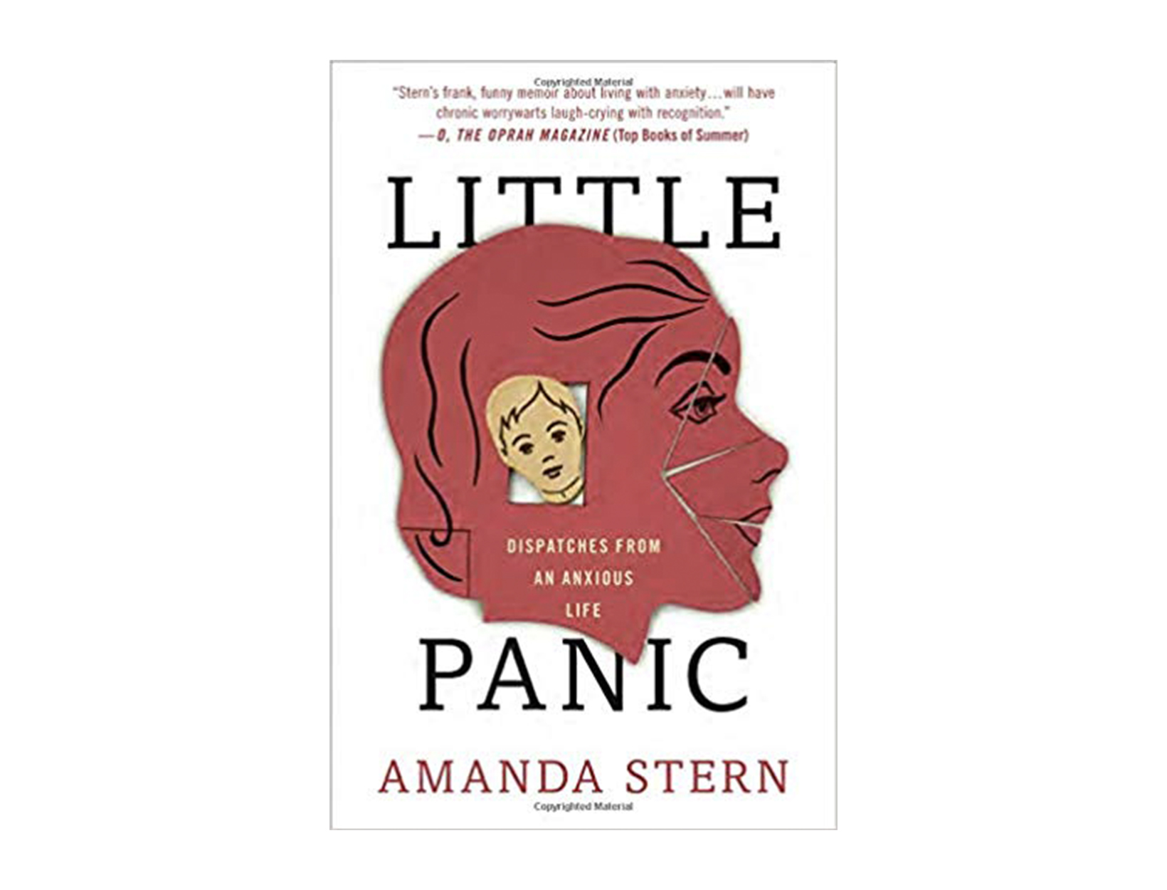 <em>Little Panic </em>by Amanda Stern