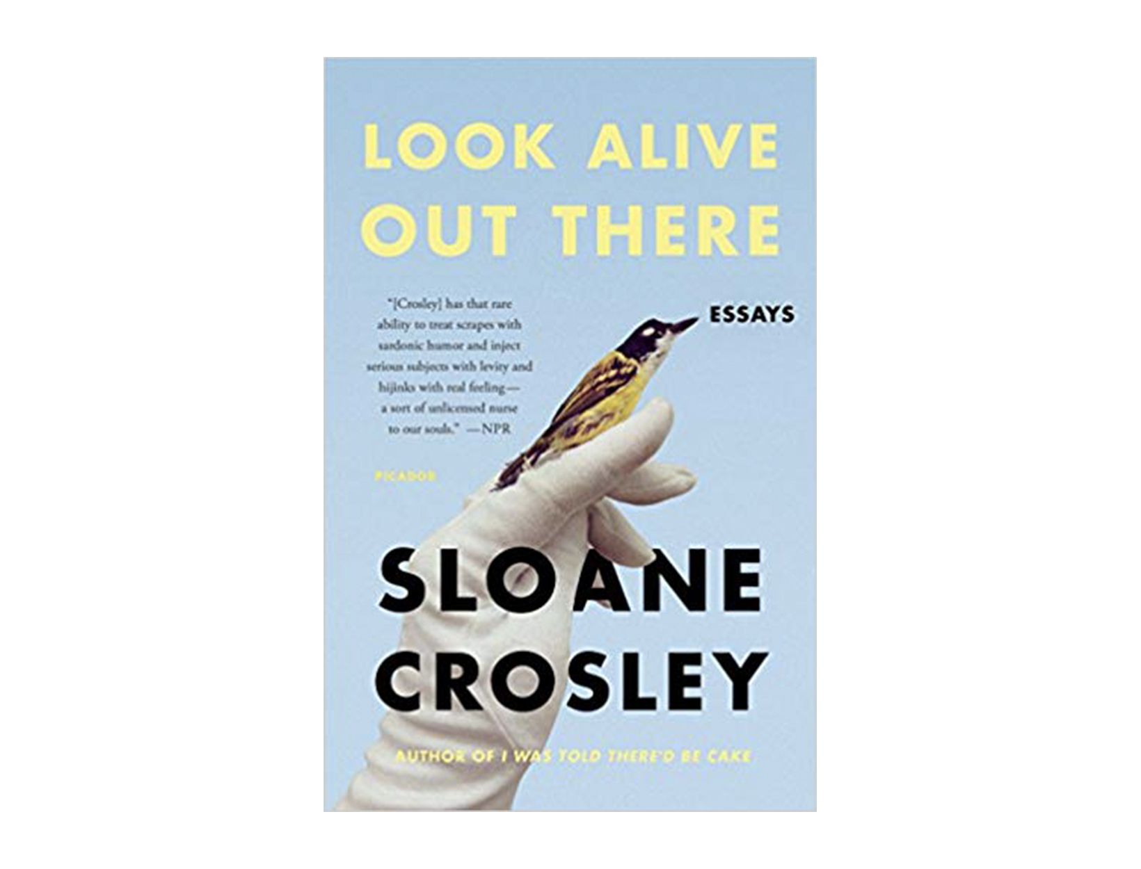 <em>Look Alive Out There</em> by Sloane Crosley