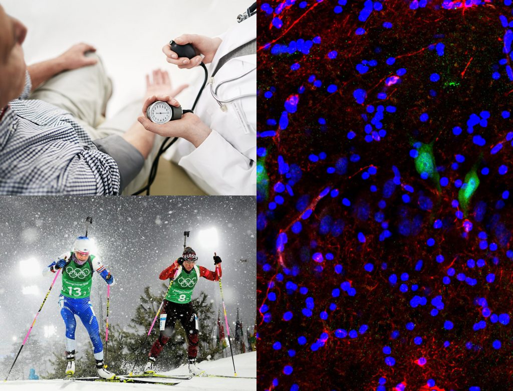 Cellular Discoveries + Other Stories