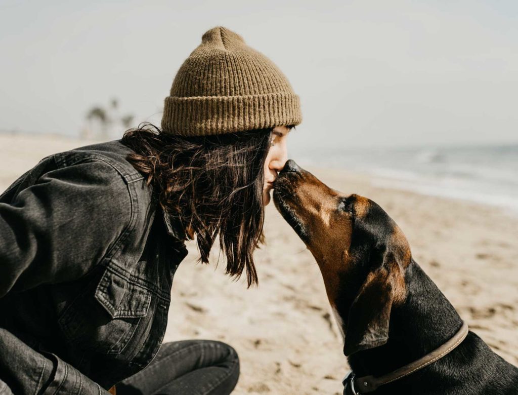 The Health Benefits of Owning a Dog + Other Stories