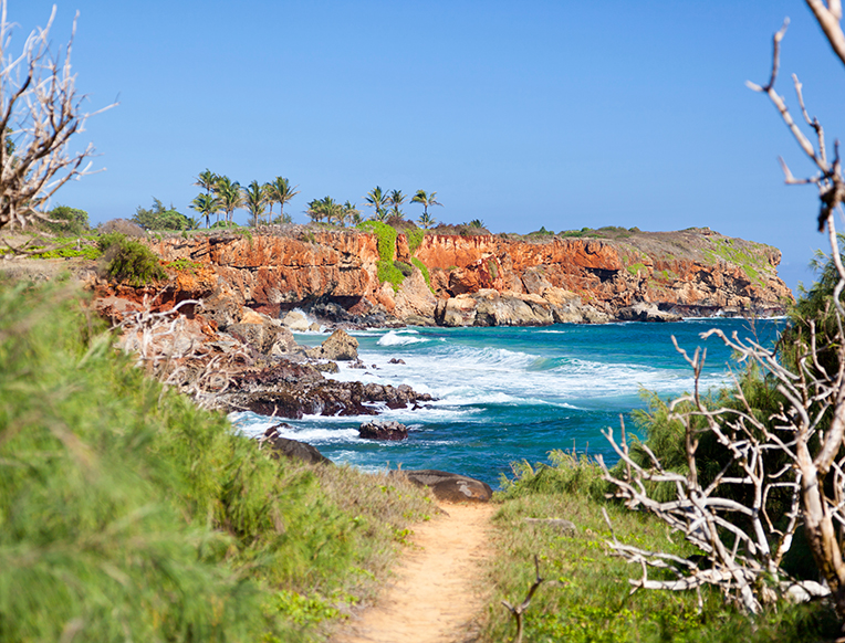 Yoga in Kauai, Kauai Relaxation Guide