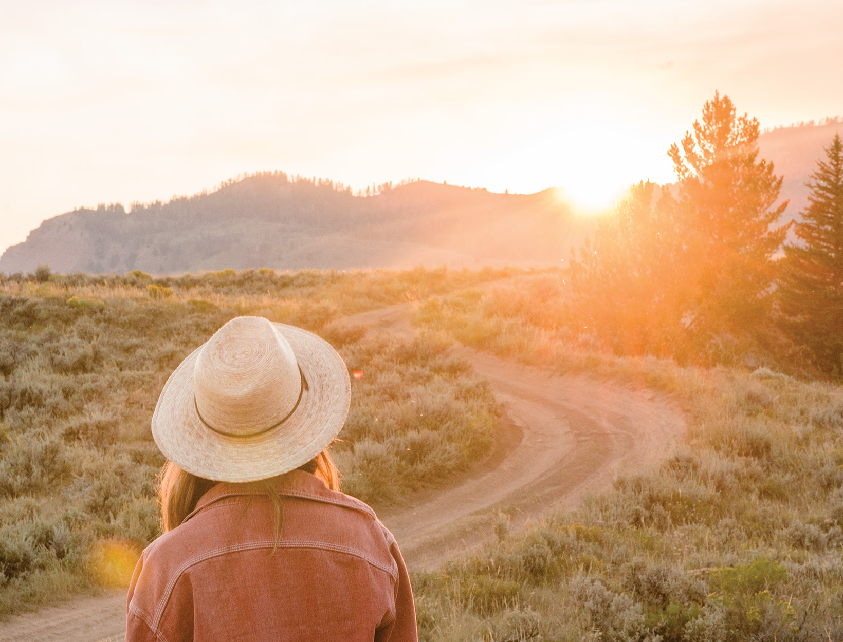 The Long-Drive Survival Guide
