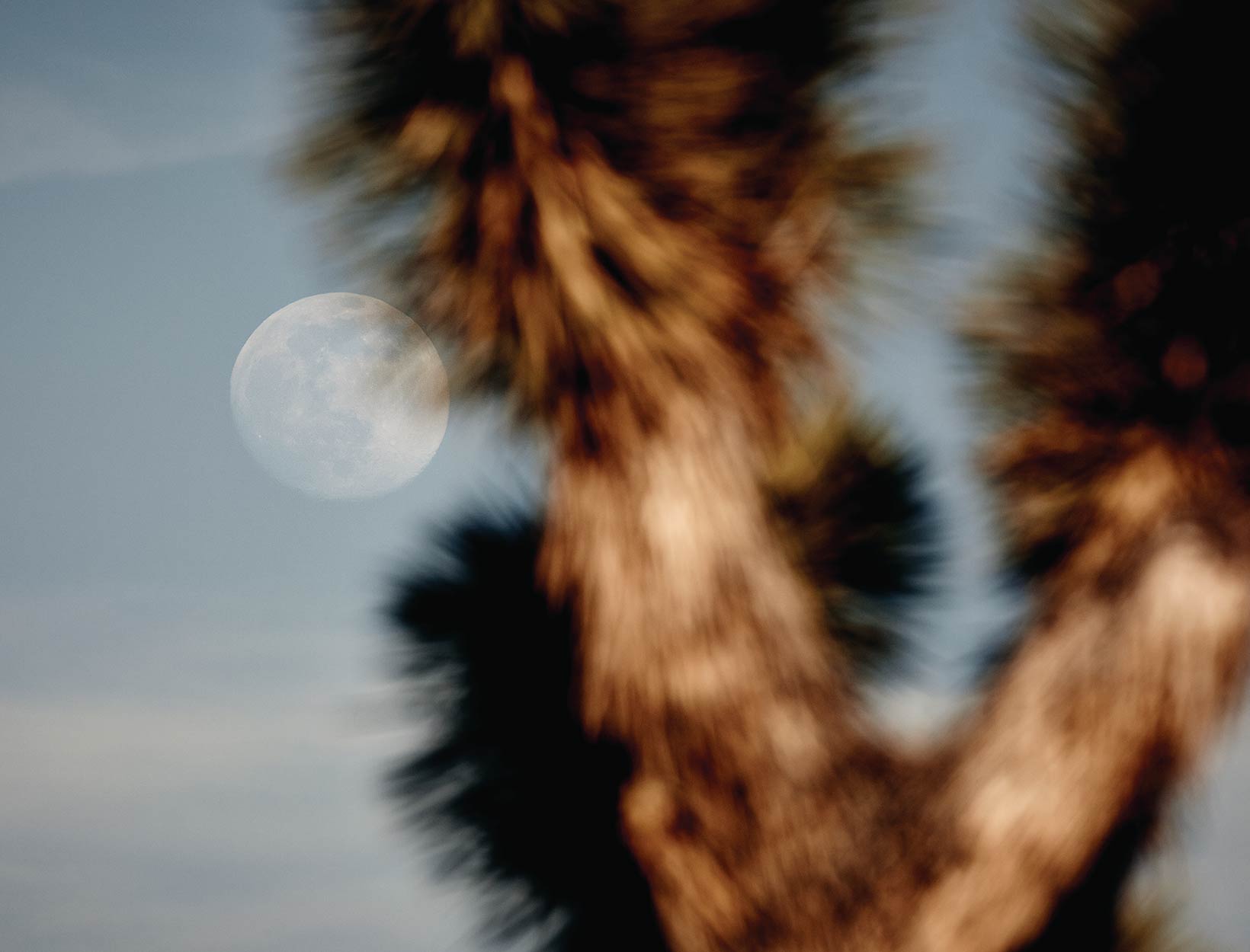 Full Moon Meanings - How To Align With The Moon's Phases | goop