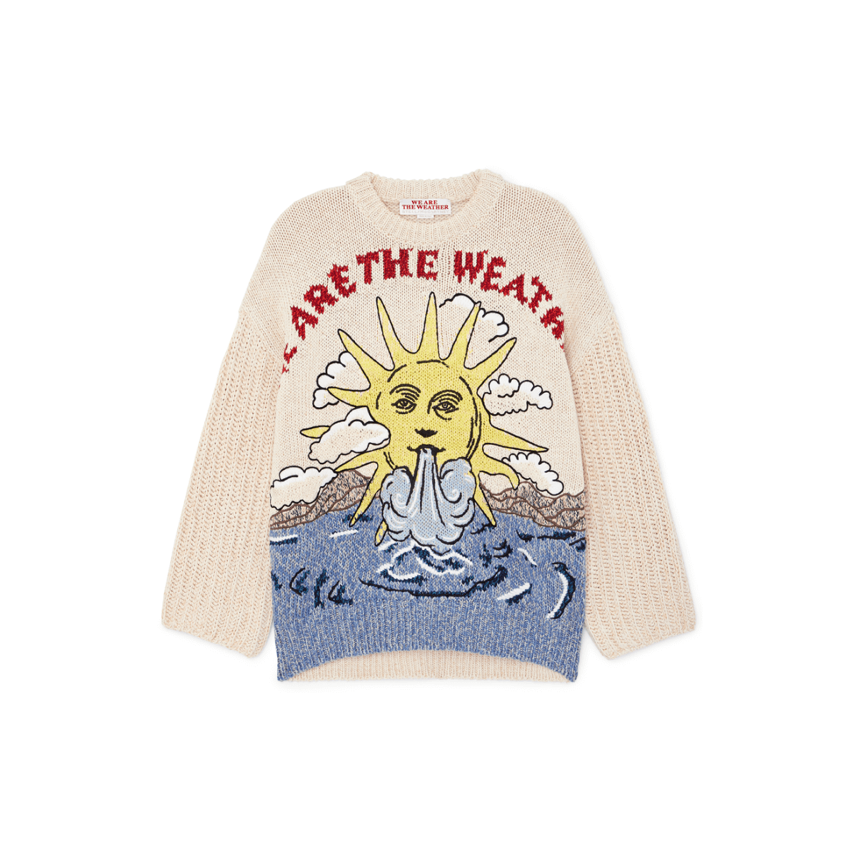 Stella McCartney WE ARE THE WEATHER SWEATER