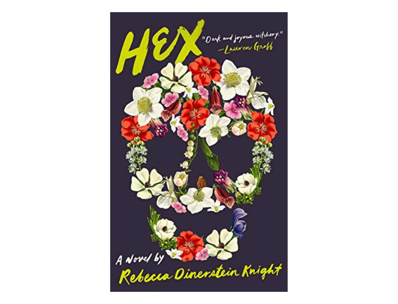 <em>Hex</em> by Rebecca Dinerstein Knight