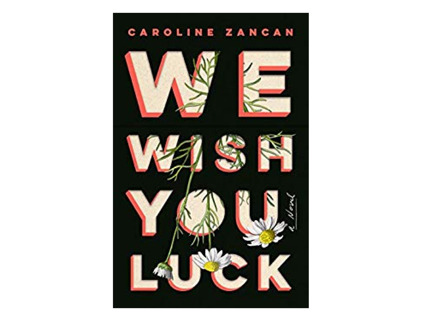 <em>We Wish You Luck</em> by Caroline Zancan